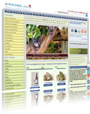 Screen Webseite eweine